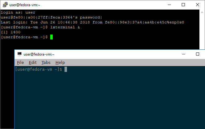 A screenshot of active SSH connection in PuTTY, with an LXTerminal window visible in the front.